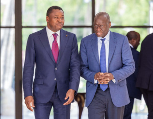 Afrique de l&rsquo;Ouest et Centrale : la Banque mondiale va augmenter de 1,5 milliard $, ses investissements agricoles