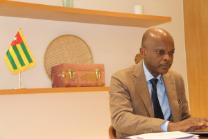 D&eacute;cennie des racines africaines : Robert Dussey pour une mise en &oelig;uvre rapide des d&eacute;cisions