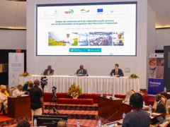 Togo plans second industrial park in Agb&eacute;louv&eacute;