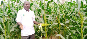 Togo : o&ugrave; en est l'Agropole de Kara ?