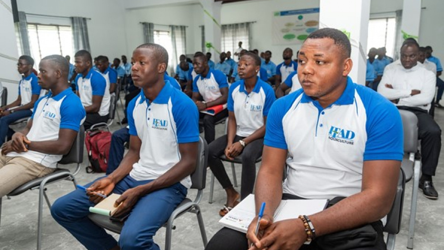 IFAD : des formations certifiantes et qualifiantes annoncées à la rentrée 2025-2026