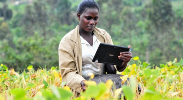 Rencontres Africa : 20 000 euros pour des solutions agricoles innovantes