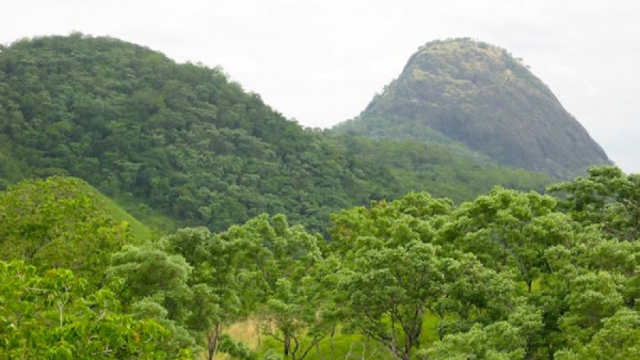 Togo : un avant-projet de loi sur la création et la gestion des aires protégées