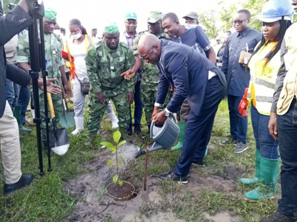 Togo reports nearly 39 million trees planted since 2021