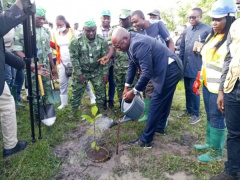 Togo reports nearly 39 million trees planted since 2021