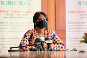 Sandra Ablamba-Johnson lance la phase nationale d&rsquo;un projet d&rsquo;harmonisation des statistiques