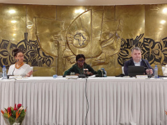 Investment: A British trade mission meets in Lomé with key public and private actors