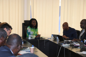 Acc&egrave;s universel &agrave; l&rsquo;&eacute;nergie : le Togo pr&eacute;sente ses diff&eacute;rents projets aux partenaires techniques et financiers