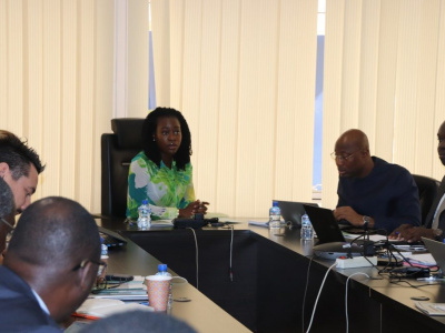 acces-universel-a-l-energie-le-togo-presente-ses-differents-projets-aux-partenaires-techniques-et-financiers