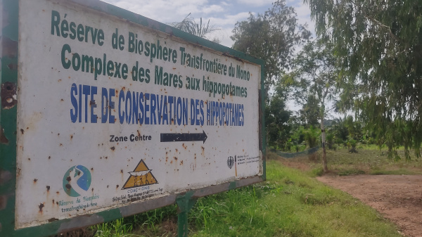 Togo : à Afito, un compromis entre les populations et les hippopotames