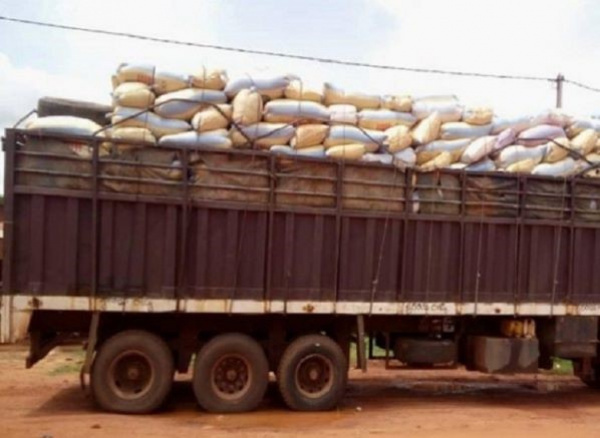Togo: Two trucks were seized in Sokode for illegal food export