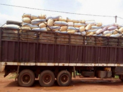 Togo: Two trucks were seized in Sokode for illegal food export