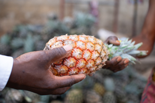 Togo: Adétikopé Industrial Platform Hosts Agri-food and Agricultural Financing Fair (SAFA)