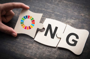 Togo : de nouvelles r&egrave;gles pour les ONG internationales