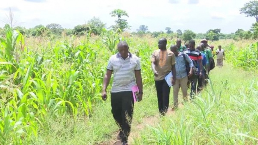 Togo : un 5ème Recensement national de l’agriculture annoncé, 12 ans après