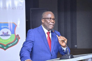 Togo Drafts Territorial Marketing Guide