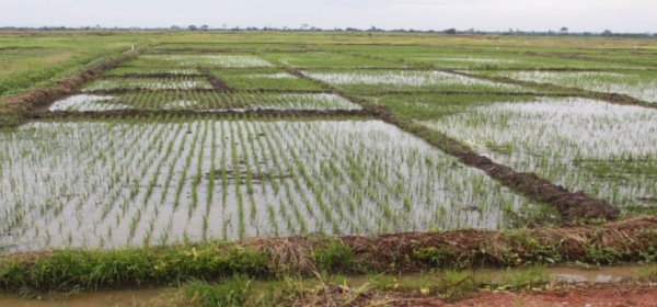 Togo : Des travaux d&#039;aménagement des terres agricoles prévus dans les 5 régions économiques