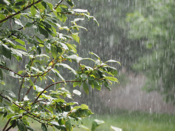 Les prévisions de pluie au sud-Togo, de mars à juin 2024