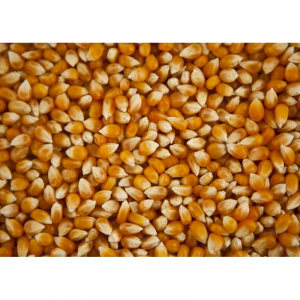 Togo : les nouveaux prix plafonds pour les produits locaux et import&eacute;s