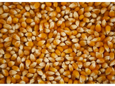 togo-les-nouveaux-prix-plafonds-pour-les-produits-locaux-et-importes