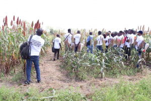 La CEDEAO et l'ITRA forment les jeunes &agrave; la production d'engrais organique