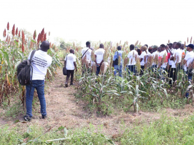 la-cedeao-et-l-itra-forment-les-jeunes-a-la-production-d-engrais-organique