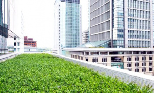 Lom&eacute;, l&rsquo;unique ville d&rsquo;Afrique subsaharienne s&eacute;lectionn&eacute;e, sur 17 au monde, pour b&eacute;n&eacute;ficier du projet EdiCitNet