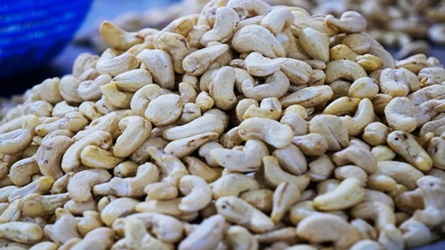 Fili&egrave;re anacarde : Lom&eacute; impose un quota de transformation locale avant exportation