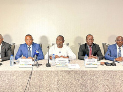 Togo adds video surveillance registration to public services platform