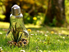 UNDP launches call for projects to support environmental projects in Togo
