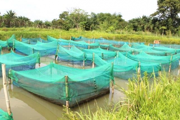 Togo: un pont d’environ 90 mètres linéaires sur le fleuve Zio et un canal d’irrigation