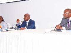 Togo: Private Sector Contributed 76.8% of GDP in 2024