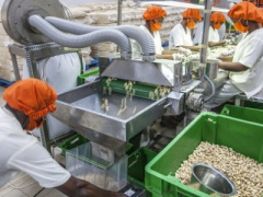 Forum Afrique 2021: Togo will showcase its agro-industrial sector