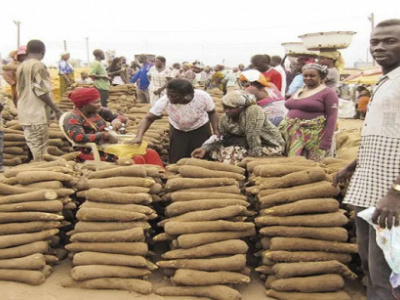 togo-draws-cfa2-34-billion-plan-to-develop-its-roots-and-tuber-industry-in-2024-2028