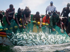 Togo: Fishing at Lake Nangbéto Officially Resumes