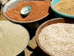 Togo to invest CFA13 billion in food security projects in 2024