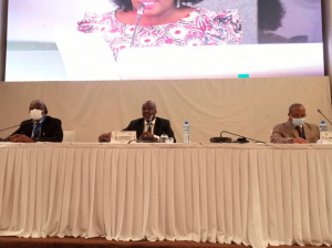 Depuis Lom&eacute;, les parlementaires de la sous-r&eacute;gion r&eacute;fl&eacute;chissent sur la relance post-covid