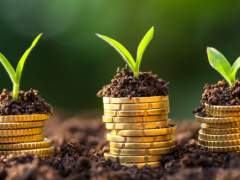 Togo Secures €200 Million Guarantee from AfDB for First Sustainable Financing Facility