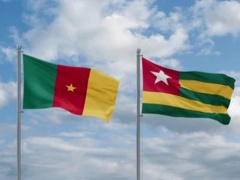 Cameroon Investment Agency Explores Opportunities in Togo