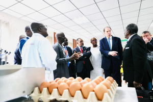 Sciences aviaires : depuis son lancement, le CERSA a g&eacute;n&eacute;r&eacute; pr&egrave;s de 2 millions $ en revenus externes