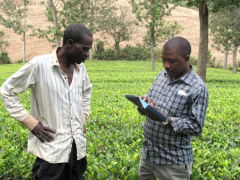 FAO, Togo ministry roll out RuralInvest to improve farm project financing