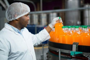 Togo : l&rsquo;ADTPME lance un nouvel appel &agrave; candidatures pour soutenir 50 TPME agro-industrielles