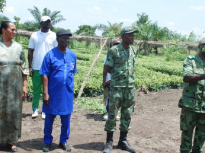 togo-distributes-nearly-400-000-seedlings-to-support-coffee-and-cocoa-sector-revival