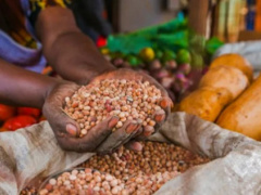 Togo Allocates CFA19 Billion for Food Security in 2025