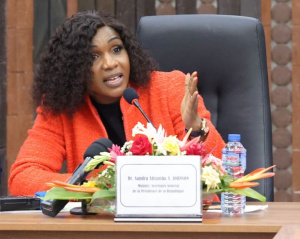 IDH : Sandra Johnson pr&eacute;sente aux m&eacute;dias les r&eacute;alisations du Togo