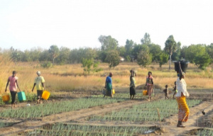 Financial Inclusion: IFAD extends PNER by one more year, due to its good performances
