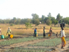 Financial Inclusion: IFAD extends PNER by one more year, due to its good performances