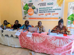 West Africa Rice Program Launches in Togo's Sotouboua Cluster