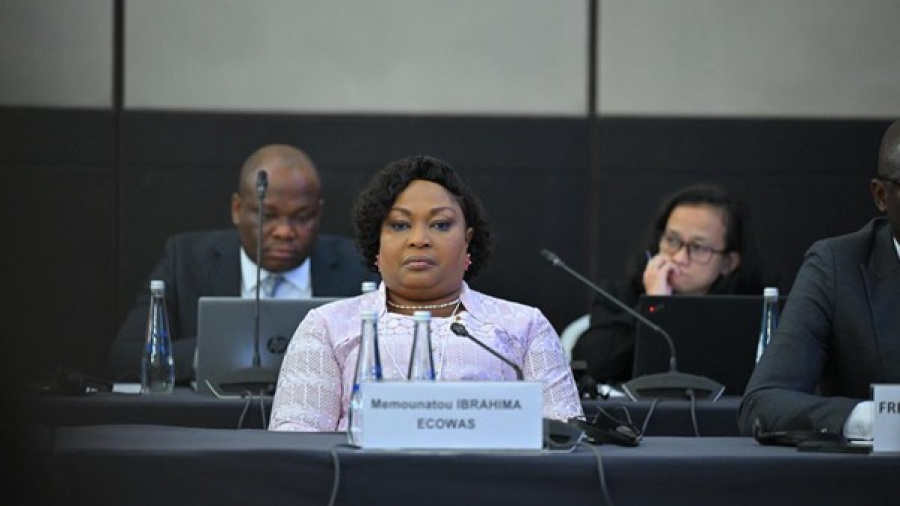 &Eacute;nergies renouvelables en Afrique de l&rsquo;Ouest : la CEDEAO plaide pour une int&eacute;gration r&eacute;gionale acc&eacute;l&eacute;r&eacute;e