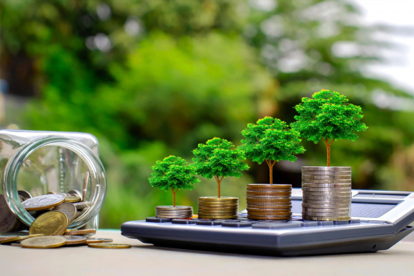 Togo: Council of Ministers adopt new bill to better protect the environment